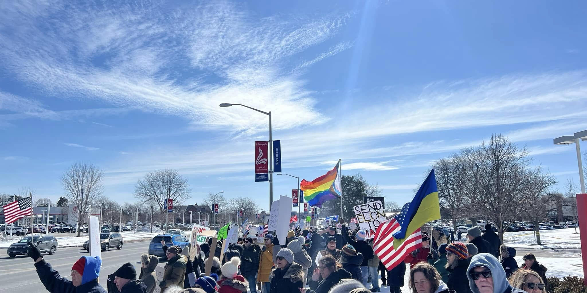 Lake County Democrats protest Elon Musk at Libertyville Tesla dealership.